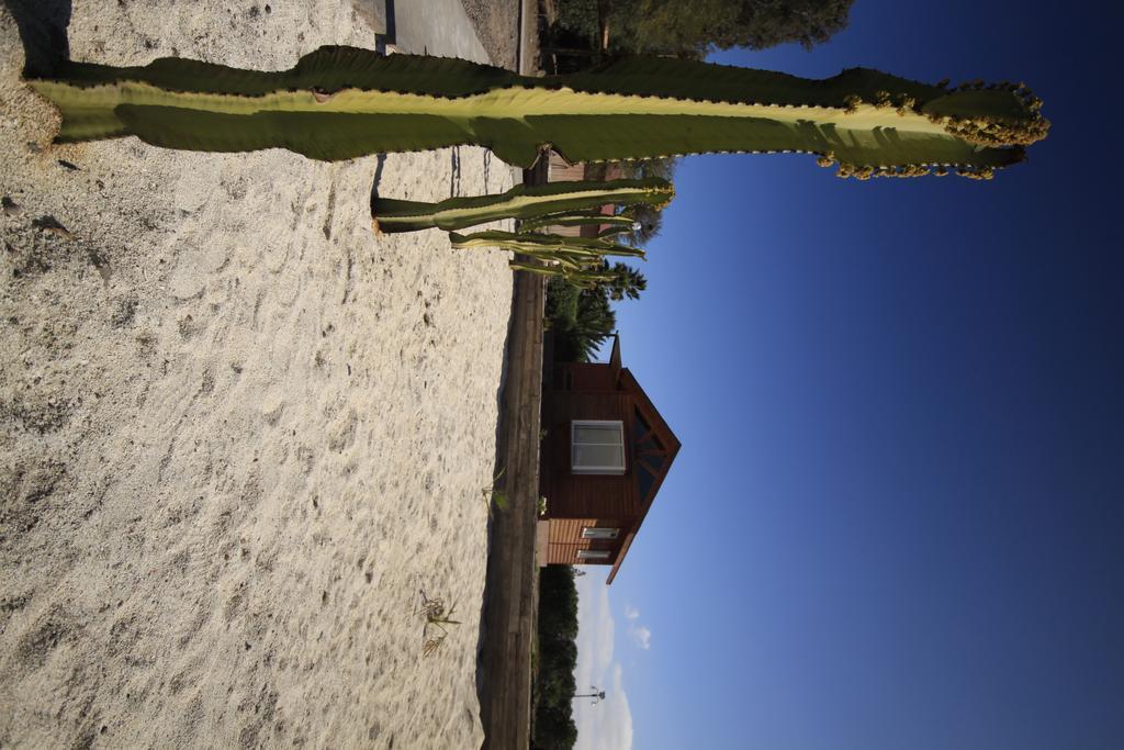 Hotel El Bramador Copiapo Luaran gambar